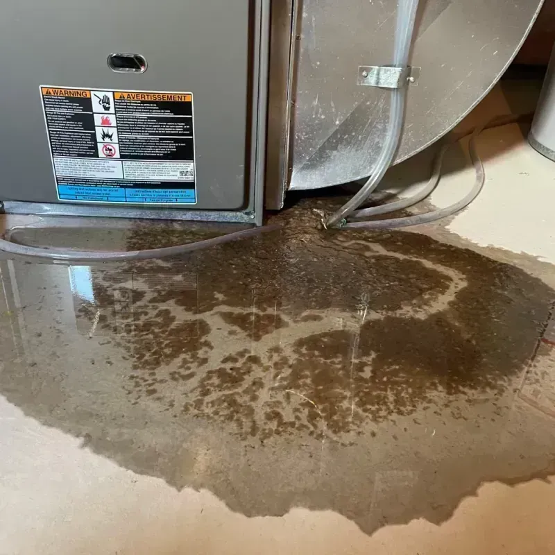 Appliance Leak Cleanup in Melrose Park, IL